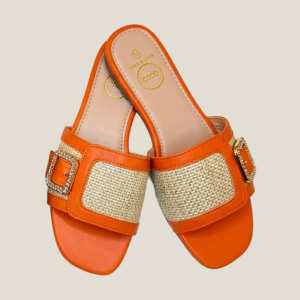 Coco Luxury Buckle Slide Sandals C-5
